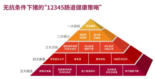 上海美農2021提升飼料產品競爭力技術研討會山東站圓滿落幕