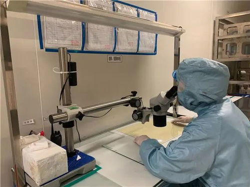 創新發展天地寬，技術驅動鑄輝煌 看梁平這家企業如何走向全國